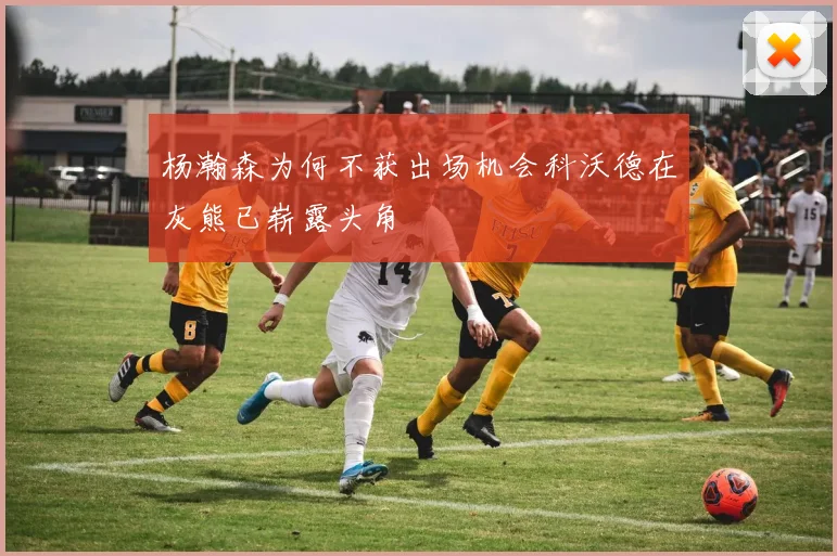 杨瀚森为何不获出场机会科沃德在灰熊已崭露头角